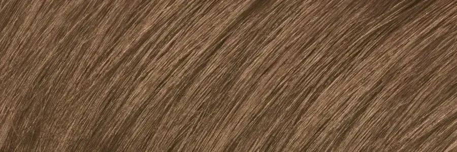 Warm Dark Blond